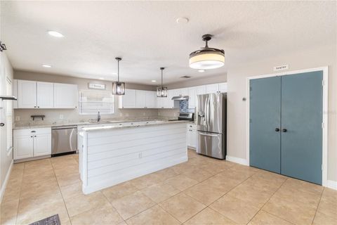 Tiny photo for 5049 Gandross Lane, Mount Dora, FL 32757 (MLS # O6406562)