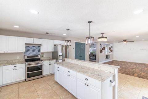 Tiny photo for 5049 Gandross Lane, Mount Dora, FL 32757 (MLS # O6406562)