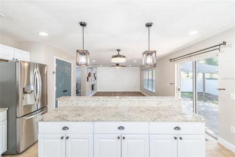 Tiny photo for 5049 Gandross Lane, Mount Dora, FL 32757 (MLS # O6406562)