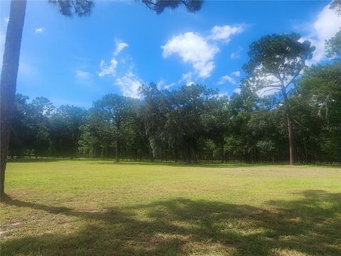 Tiny photo for 18975 W Highway 328, Dunnellon, FL 34432 (MLS # OM707936)