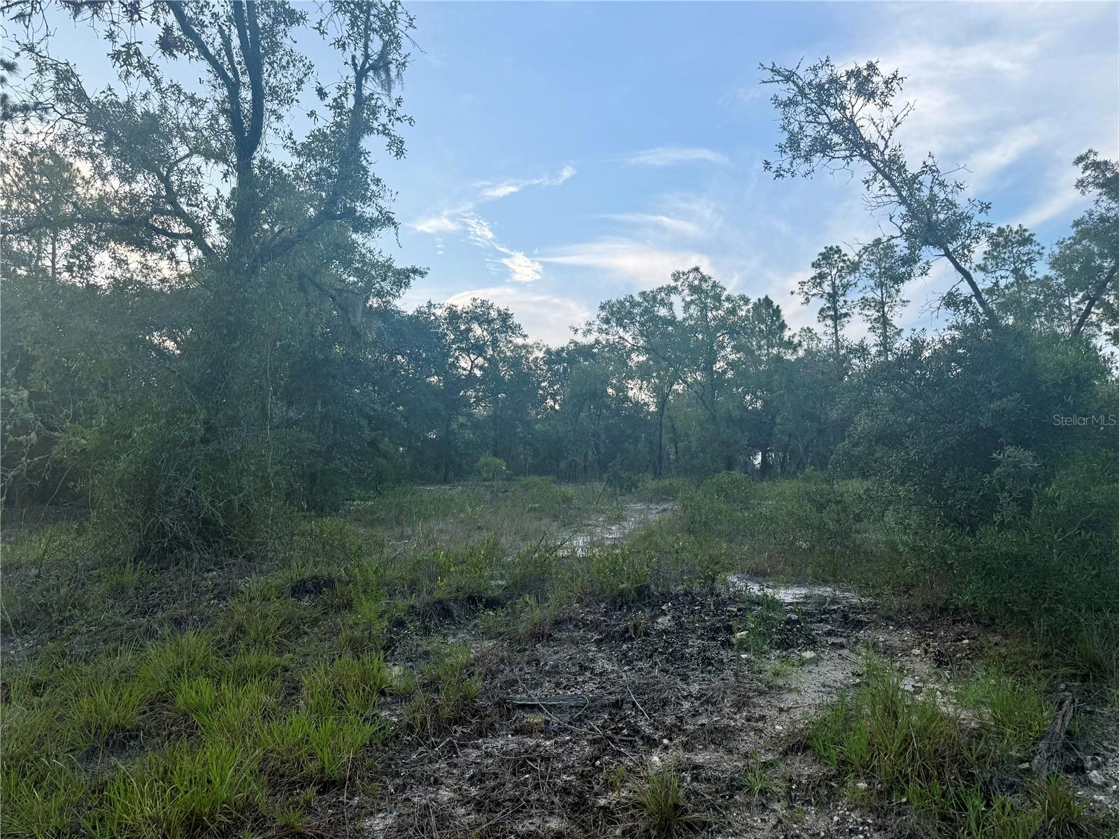 Are you ready kids? Welcome to your very own Bikini Bottom Hideaway on SW Barnacle Drive in the picturesque subdivision of Rainbow Lakes Estates! .99 Acres of Under the Sea possibilities- above sea level and no flood zone. Just under an acre of land, this parcel is one jellyfish net away from becoming your dream escape. Whether you're a land - lubbing clarinet playing Cephalopod or absorbent nature loving sponge, this could be your chance to build your own pineapple (or whatever you please). Prime location for building a homestead, vacation getaway, or secret formula lab. Zoned R1 with space for pets, plants, parking, and maybe a snail. Think hammock under the stars and flipping crabby patties on your outdoor grill, or just floundering in your own pool. The possibilities are endless just bring your vision, No HOA fees. Buy dirt, not drama, This is raw land ready to make waves with your vision and creativity. Enjoy exploring Lake Bonable and Tiger Lake and soak up some water and fun. Or play tennis, baseball, basketball, or play on the playground. This community offers so much that there is too much to list. Close to town, the Gulf, and Ocala. Don't be a crab, drive by today and see why Barnacle Drive is the perfect address to call home.