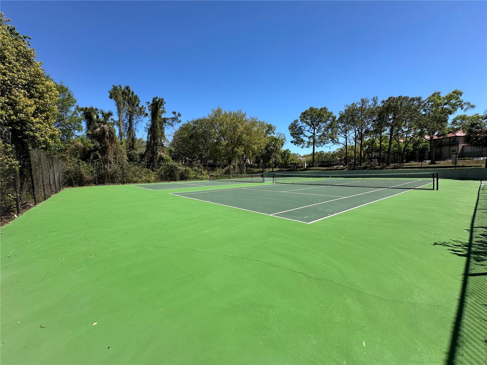 OASIS AT PEARL LAKE A CONDO - Residential Lease