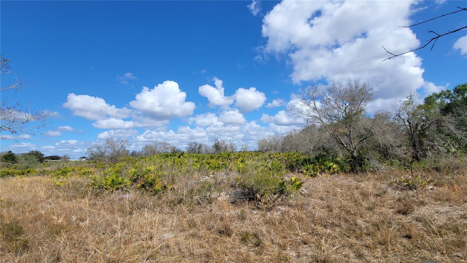 MEADOWS/ARCADIA - Land