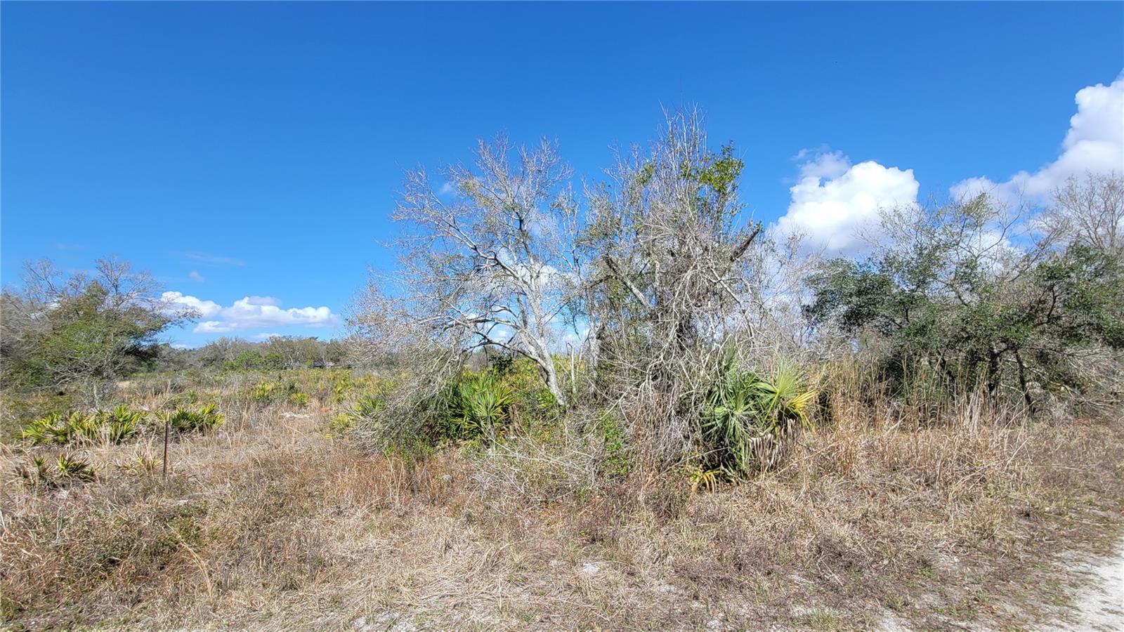 MEADOWS/ARCADIA - Land