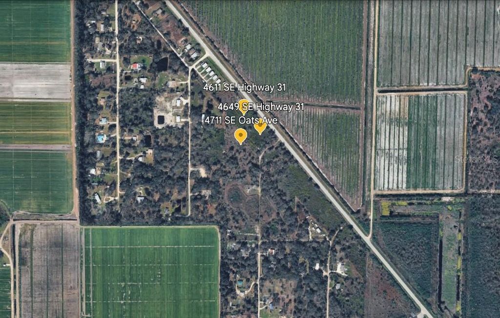 Photo of 4711 SE Oats Avenue, Arcadia, FL 34266 (MLS # A4684615)