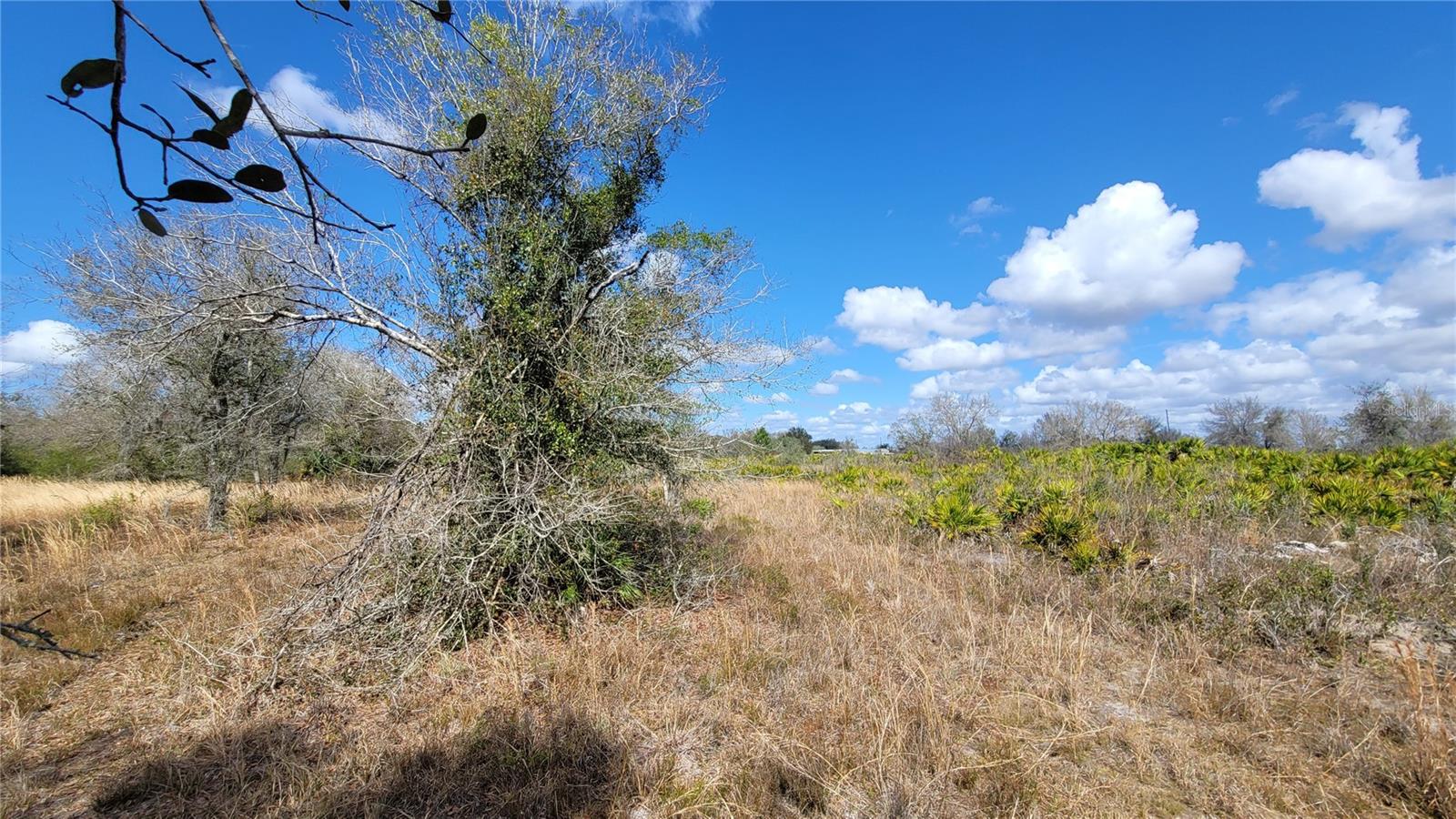 MEADOWS/ARCADIA - Land