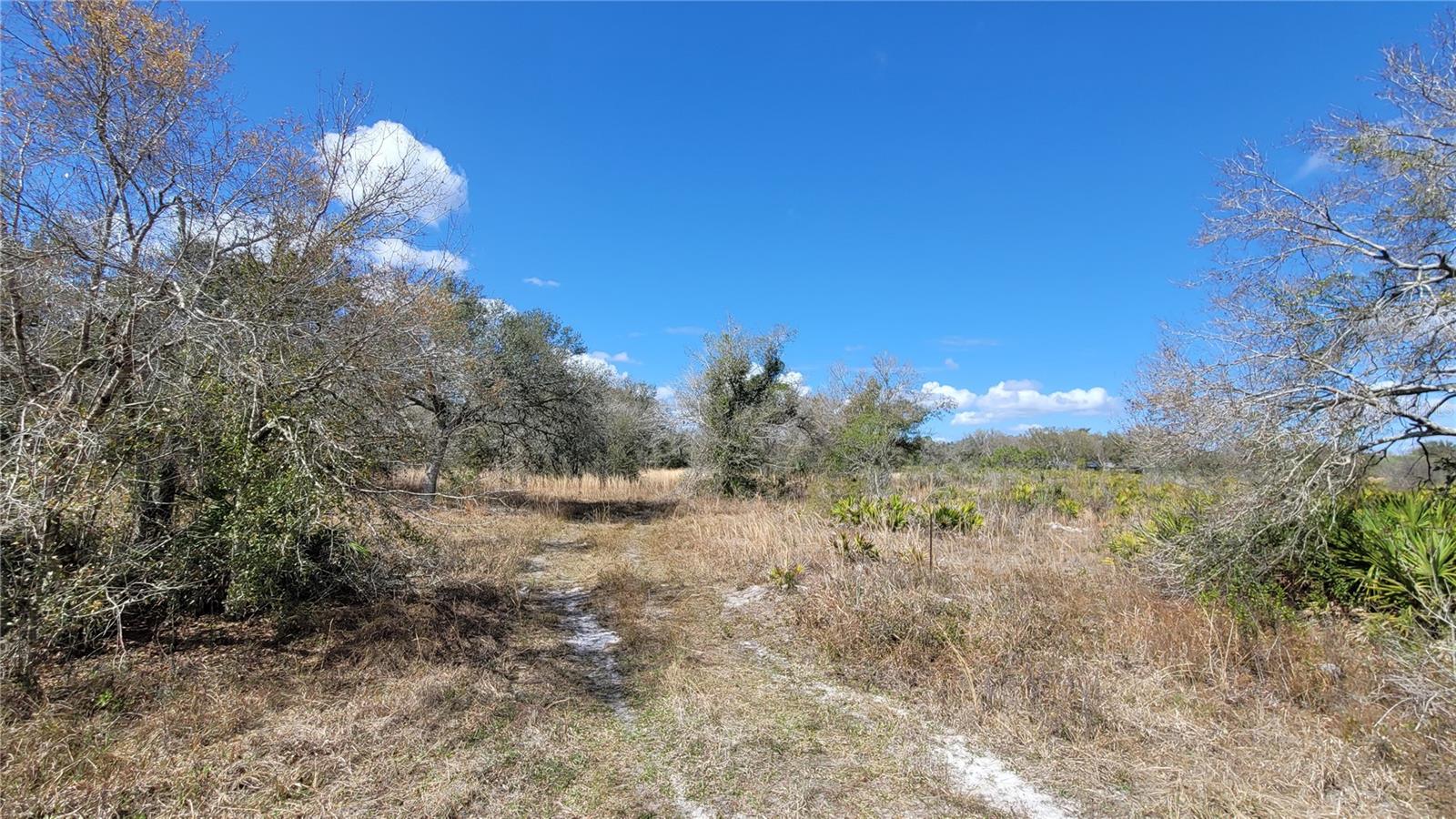 MEADOWS/ARCADIA - Land