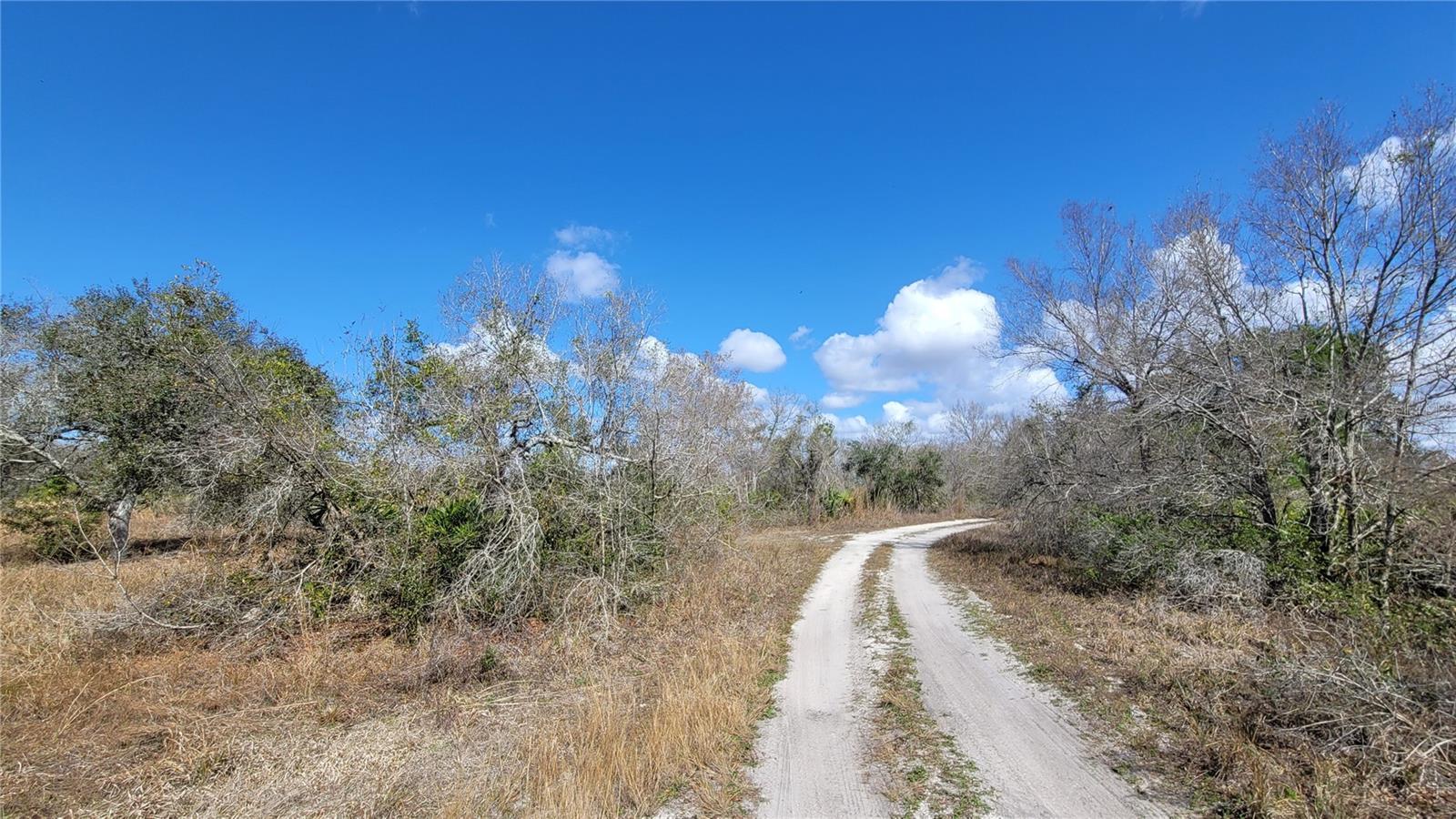 MEADOWS/ARCADIA - Land