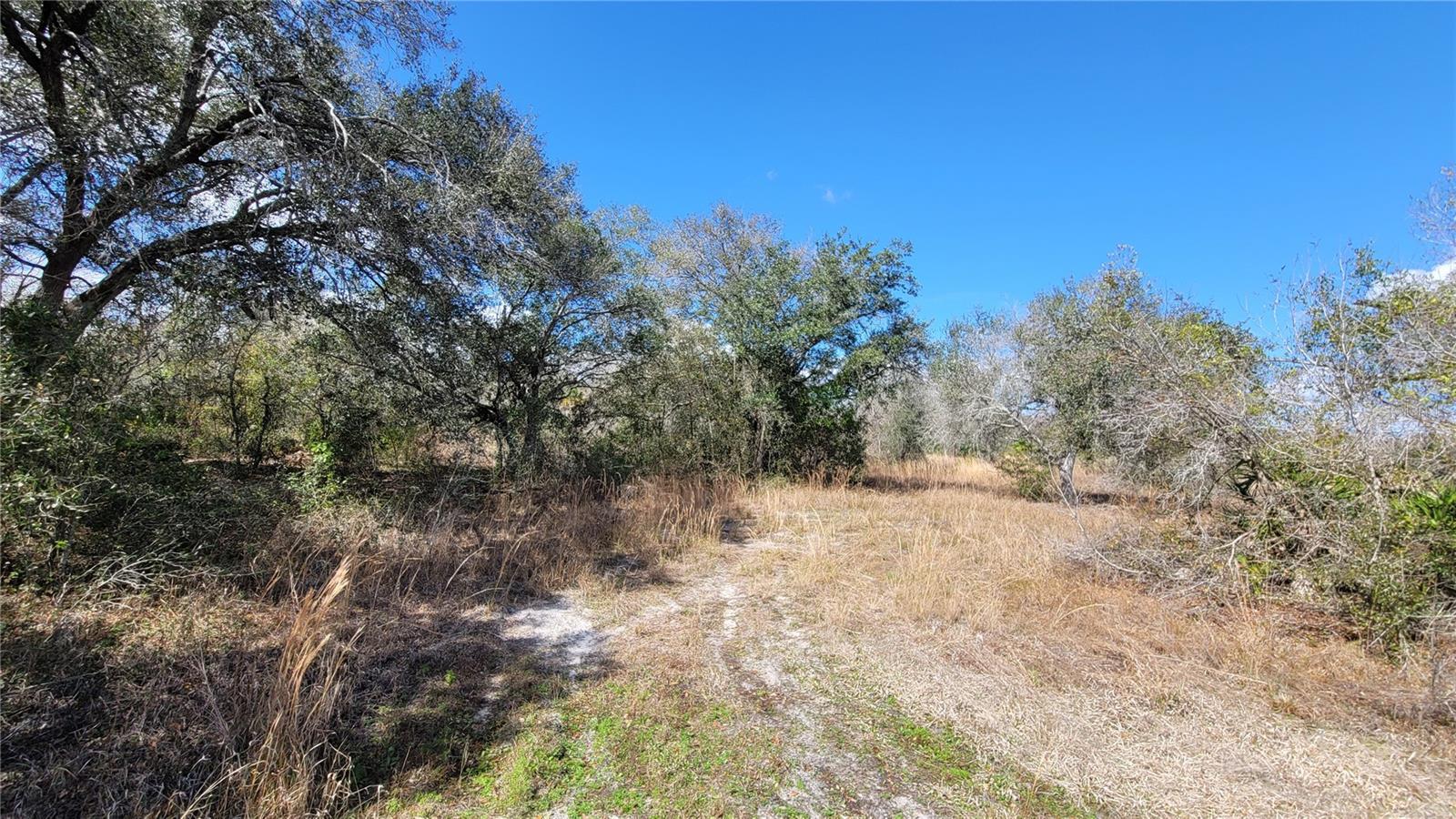 MEADOWS/ARCADIA - Land