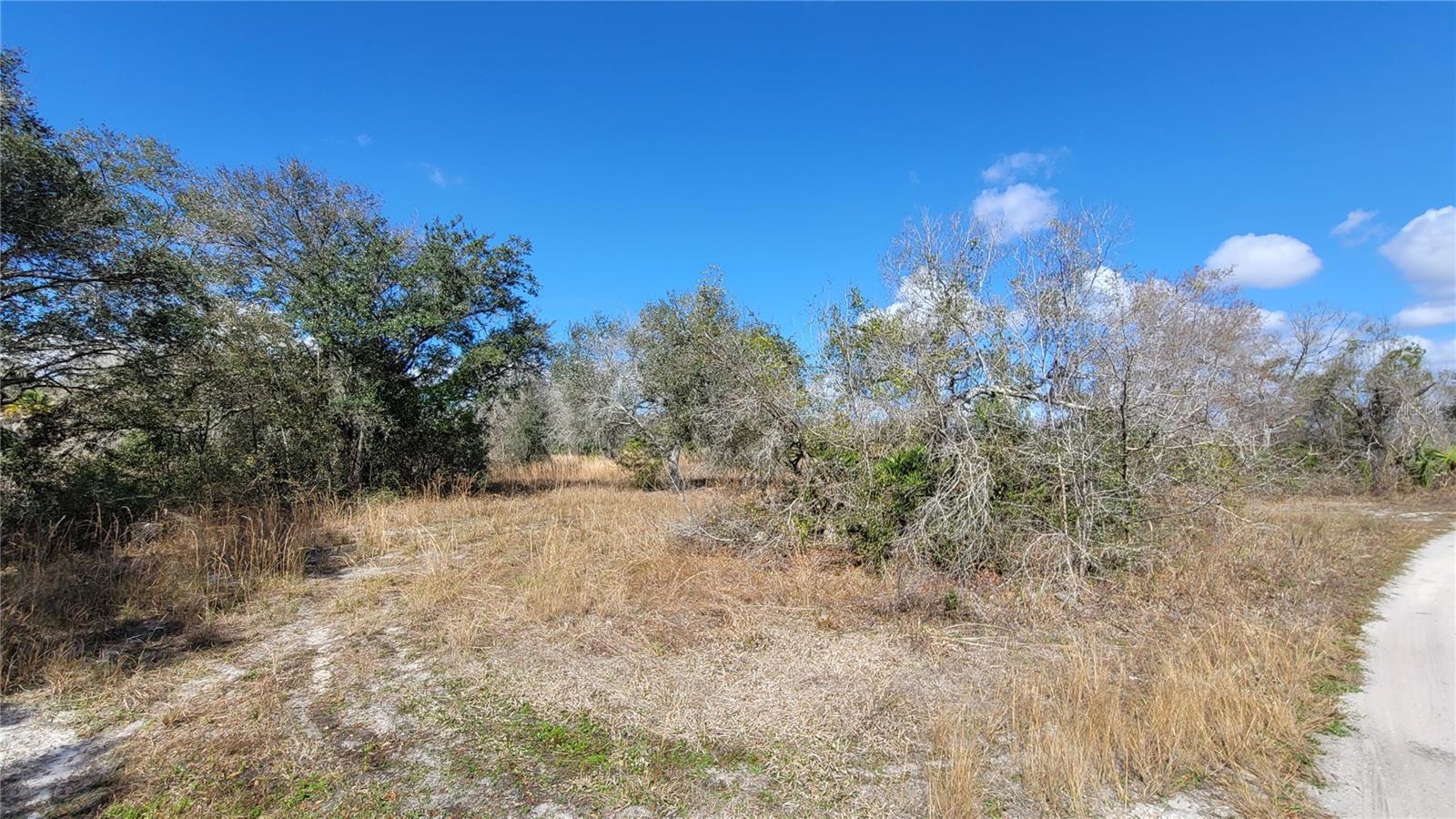 MEADOWS/ARCADIA - Land