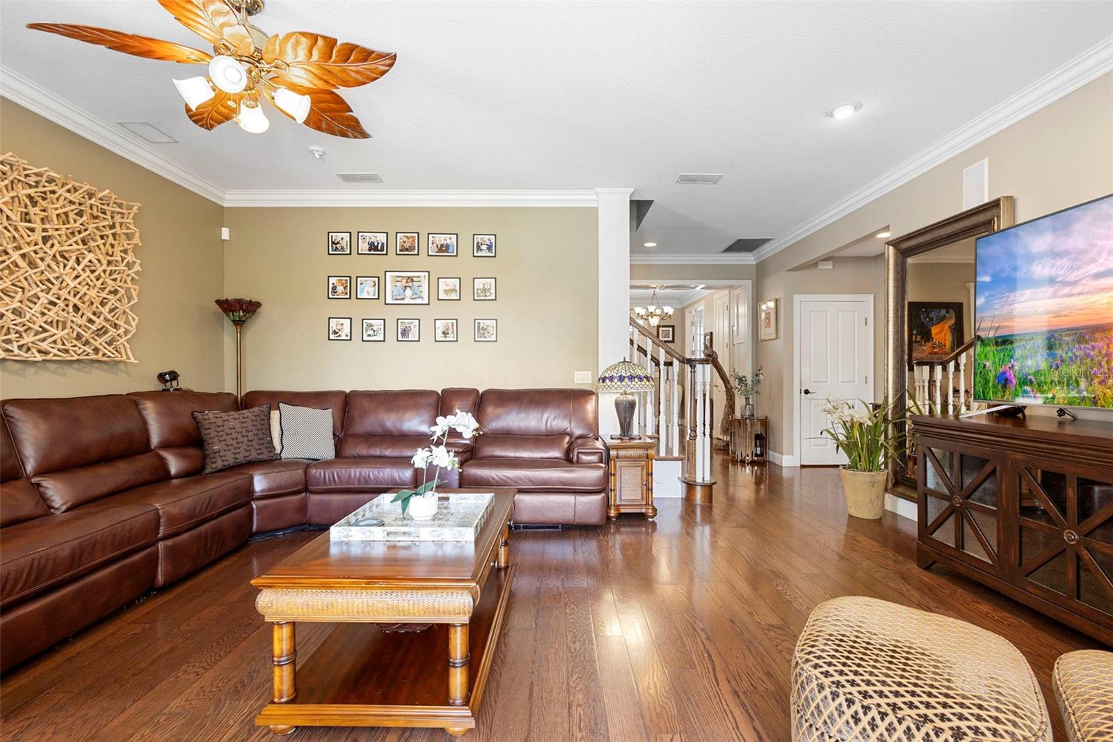 HAMMOCK POINTE - Residential