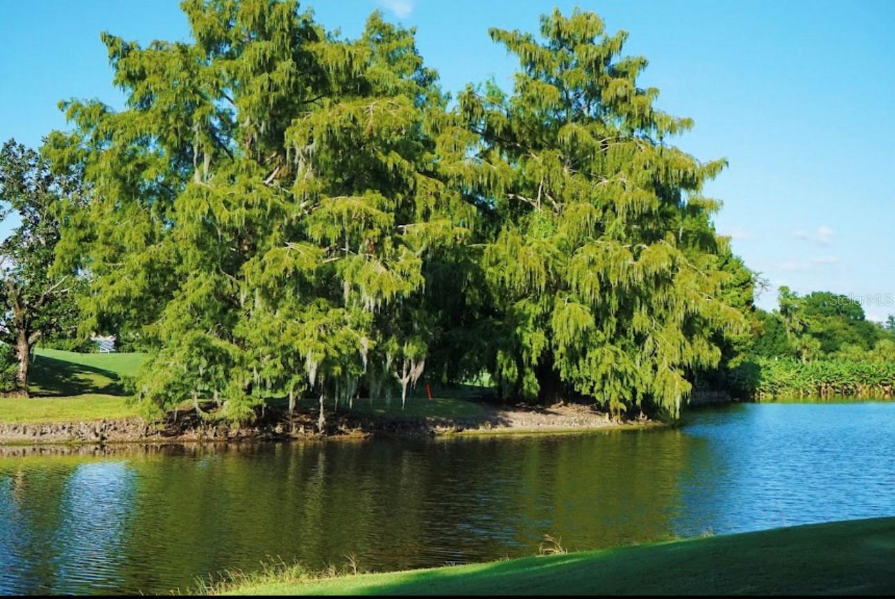 TARA VERANDAS - Residential