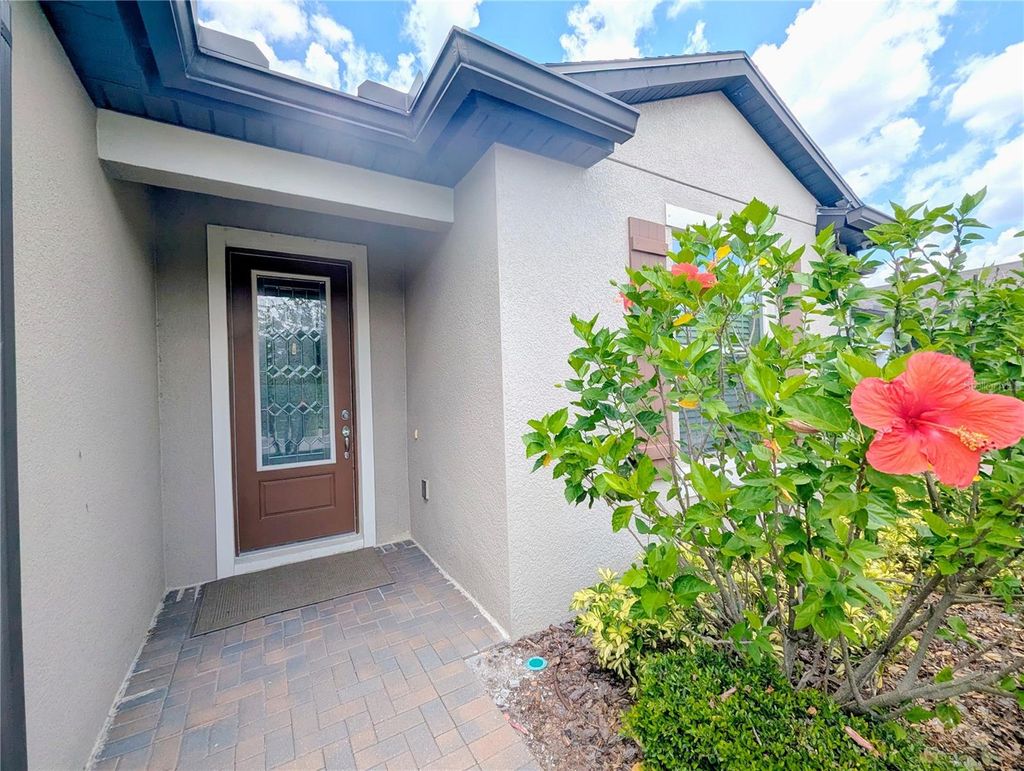 Photo of 18810 Birchwood Groves Drive, Lutz, FL 33558 (MLS # TB8502255)