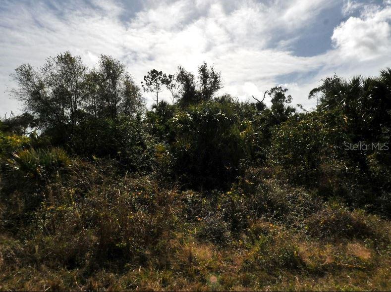 PORT CHARLOTTE SUB 46 - Land