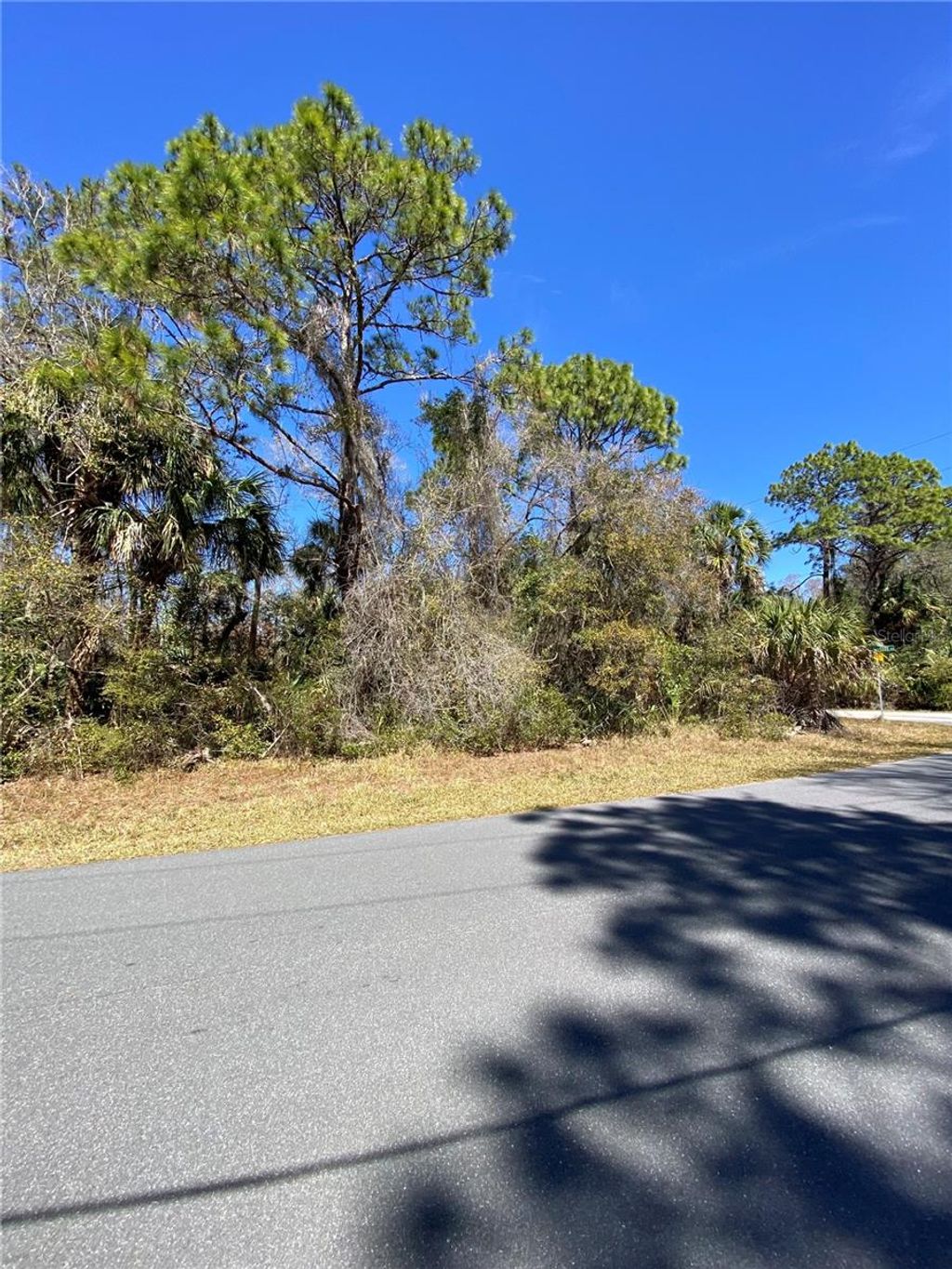Photo of 11357 W Indian Woods Path, Crystal River, FL 34428 (MLS # O6287540)