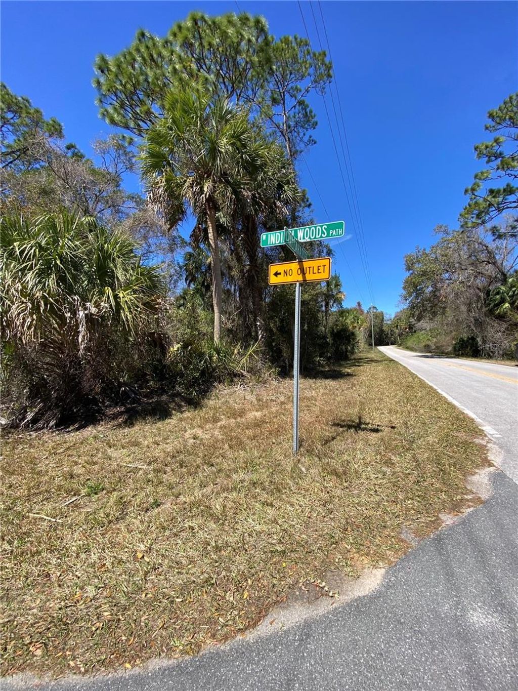 Photo of 11357 W Indian Woods Path, Crystal River, FL 34428 (MLS # O6287540)