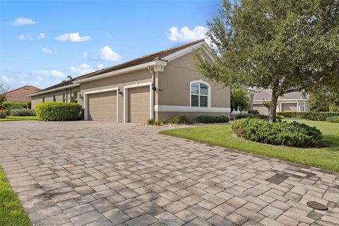 A home in MOUNT DORA