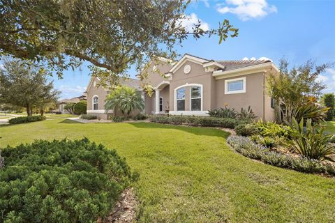 A home in MOUNT DORA