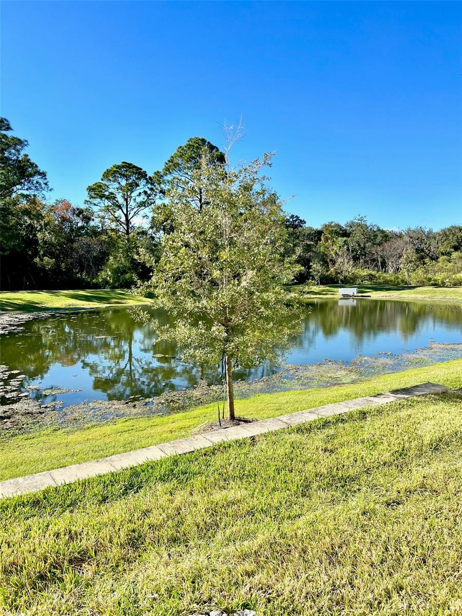 TOWNHOMES AT RIVERS EDGE - Residential Lease