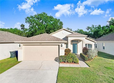 Photo of 517 Royal Ridge Street, Valrico, FL 33594 (MLS # TB8403767)