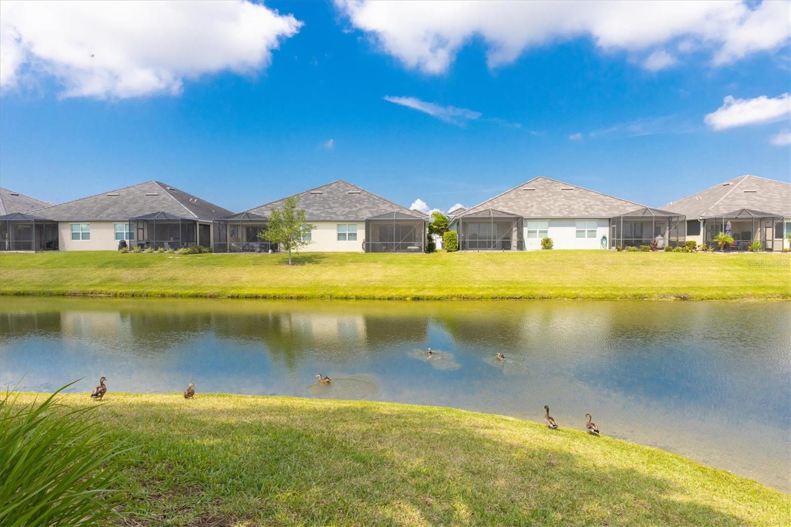 UNIVERSITY VILLAGE - Residential