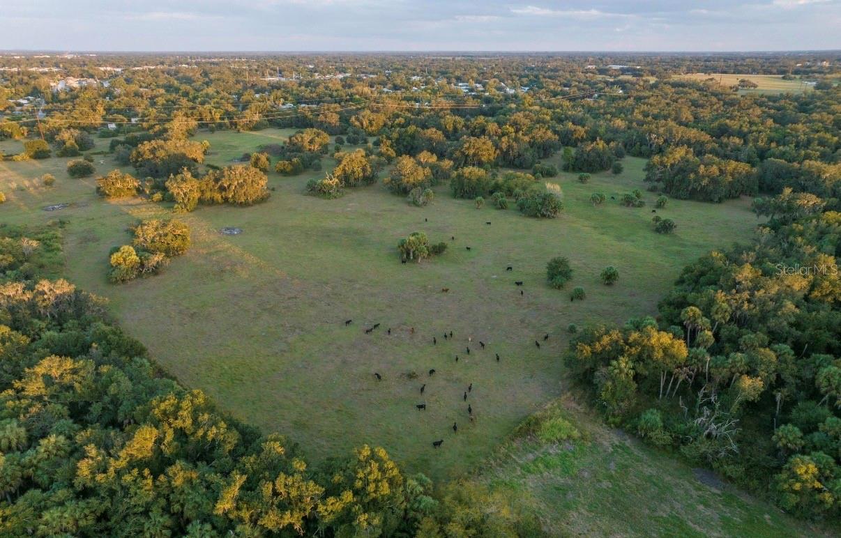 MORQUS MANOR SUB - Land