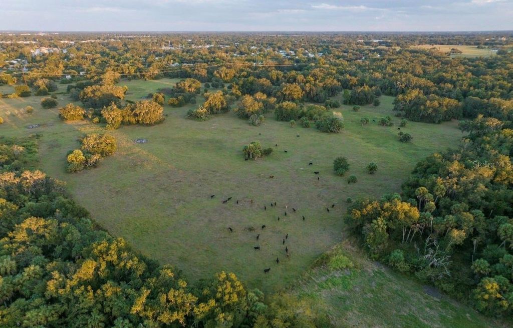 Photo of 1061 Harris Road, Arcadia, FL 34266 (MLS # A4678146)