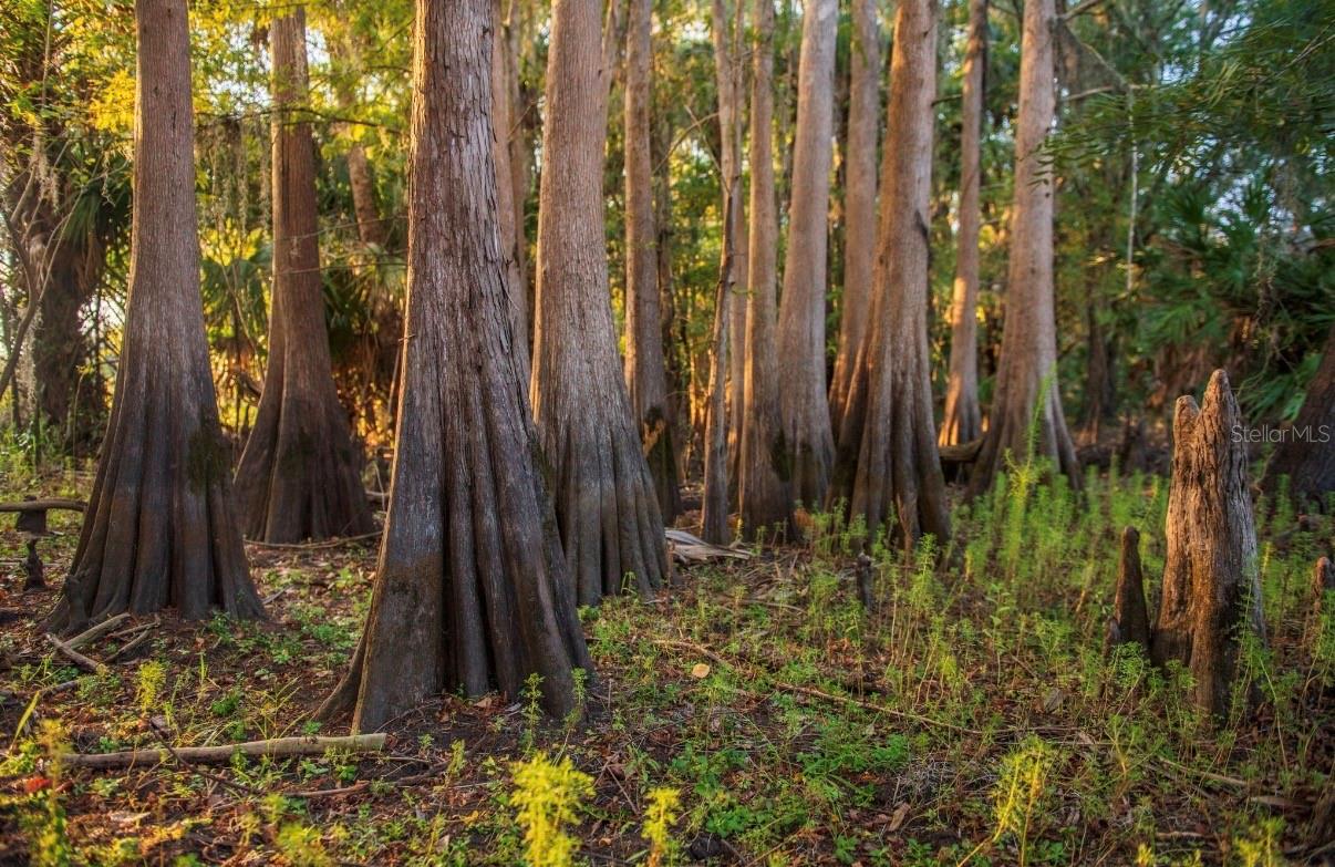 MORQUS MANOR SUB - Land