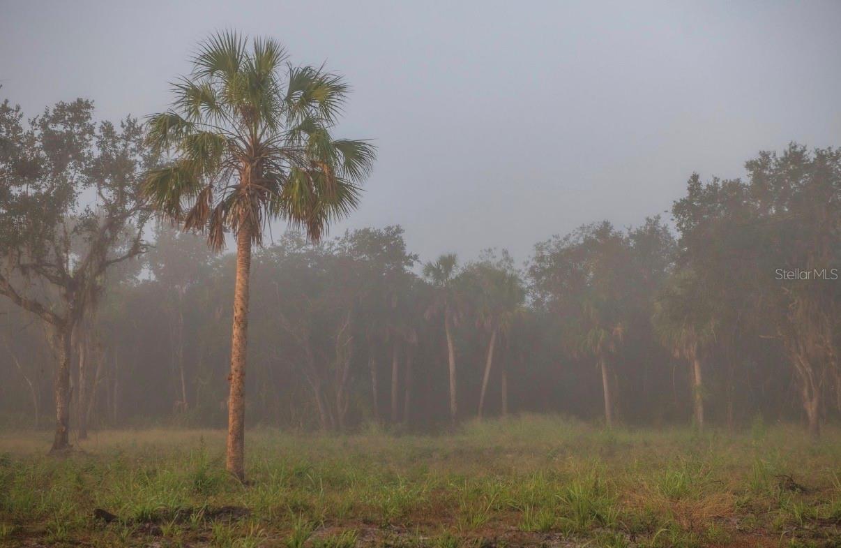 MORQUS MANOR SUB - Land