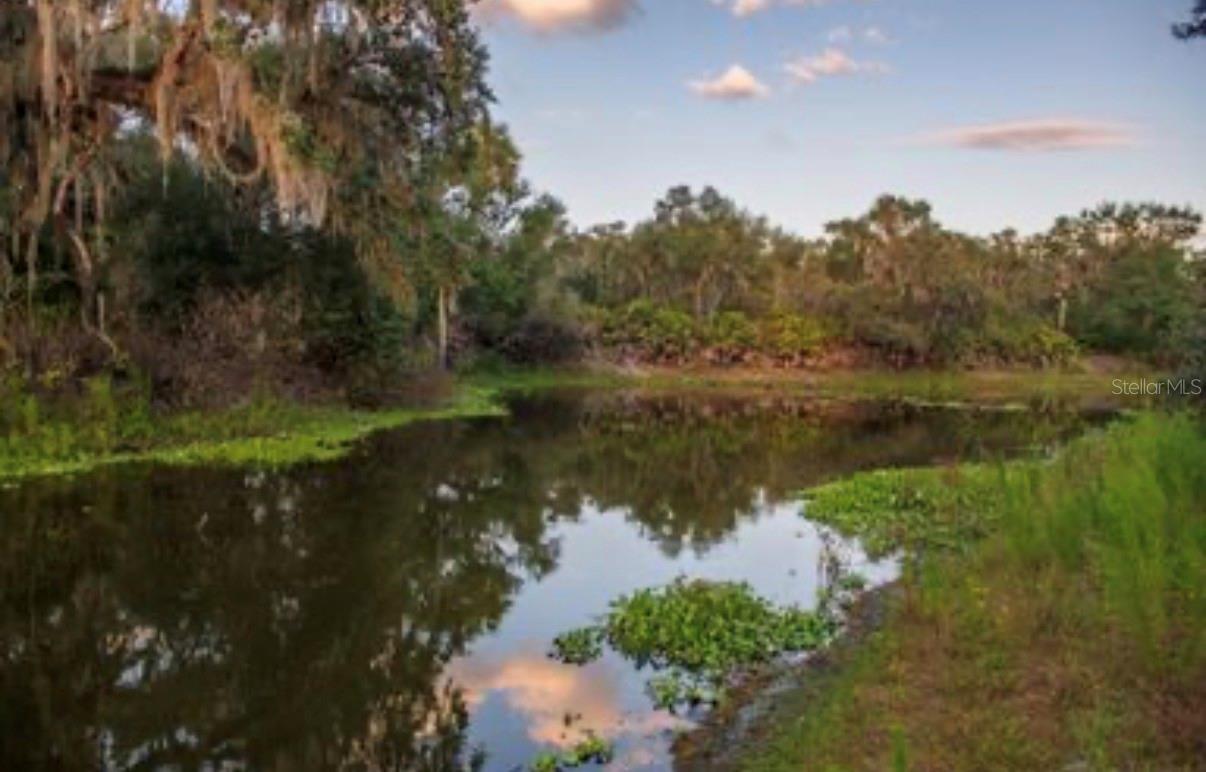 MORQUS MANOR SUB - Land