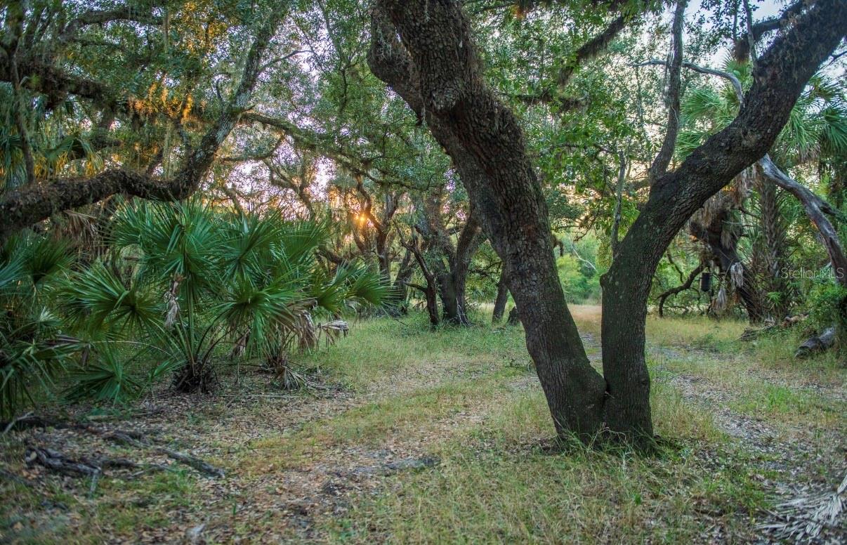 MORQUS MANOR SUB - Land