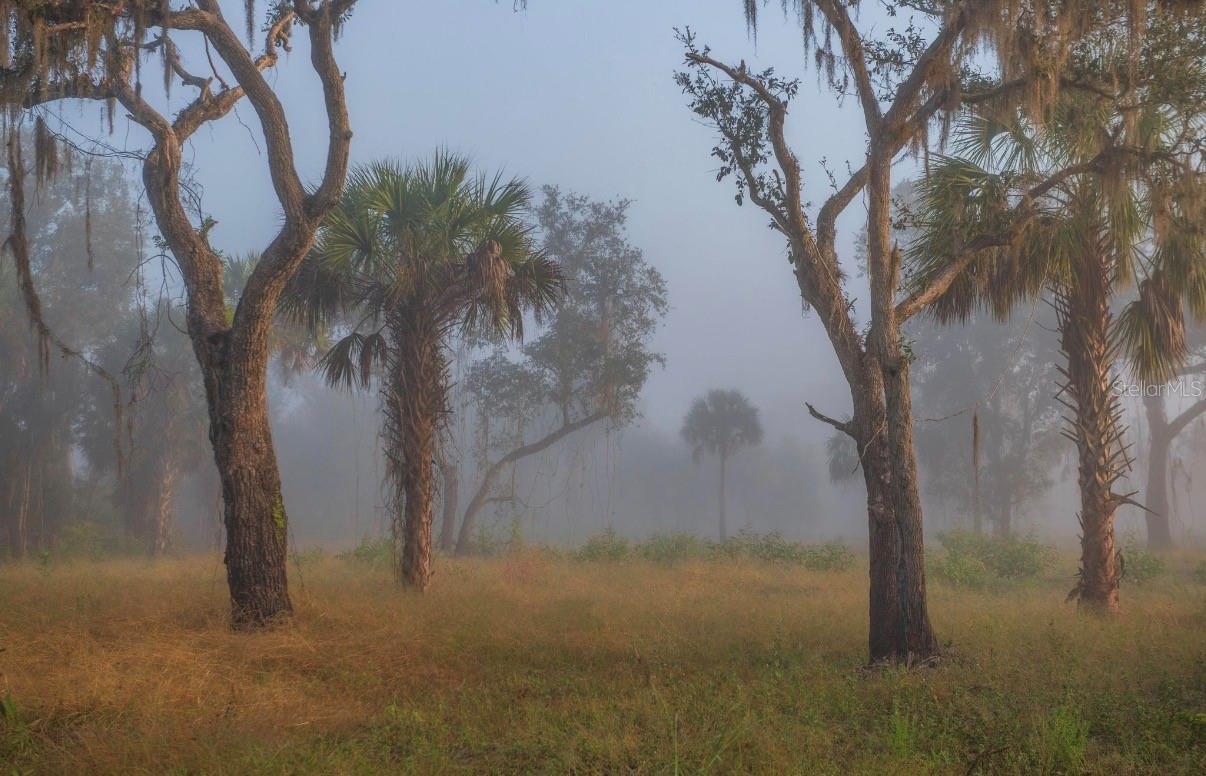 MORQUS MANOR SUB - Land