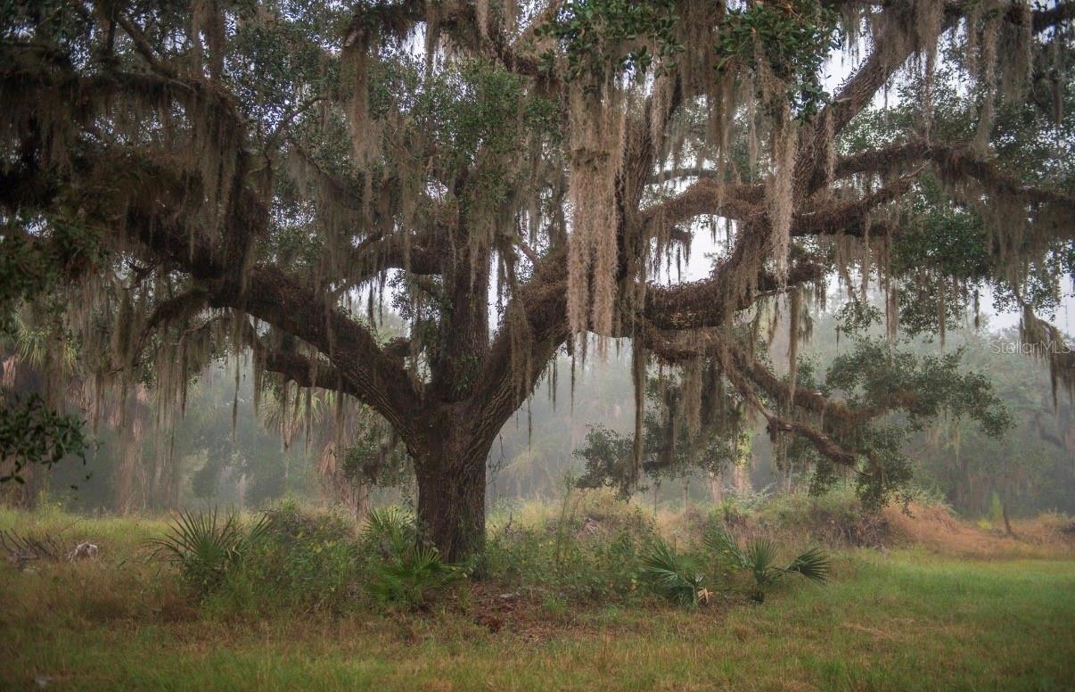 MORQUS MANOR SUB - Land