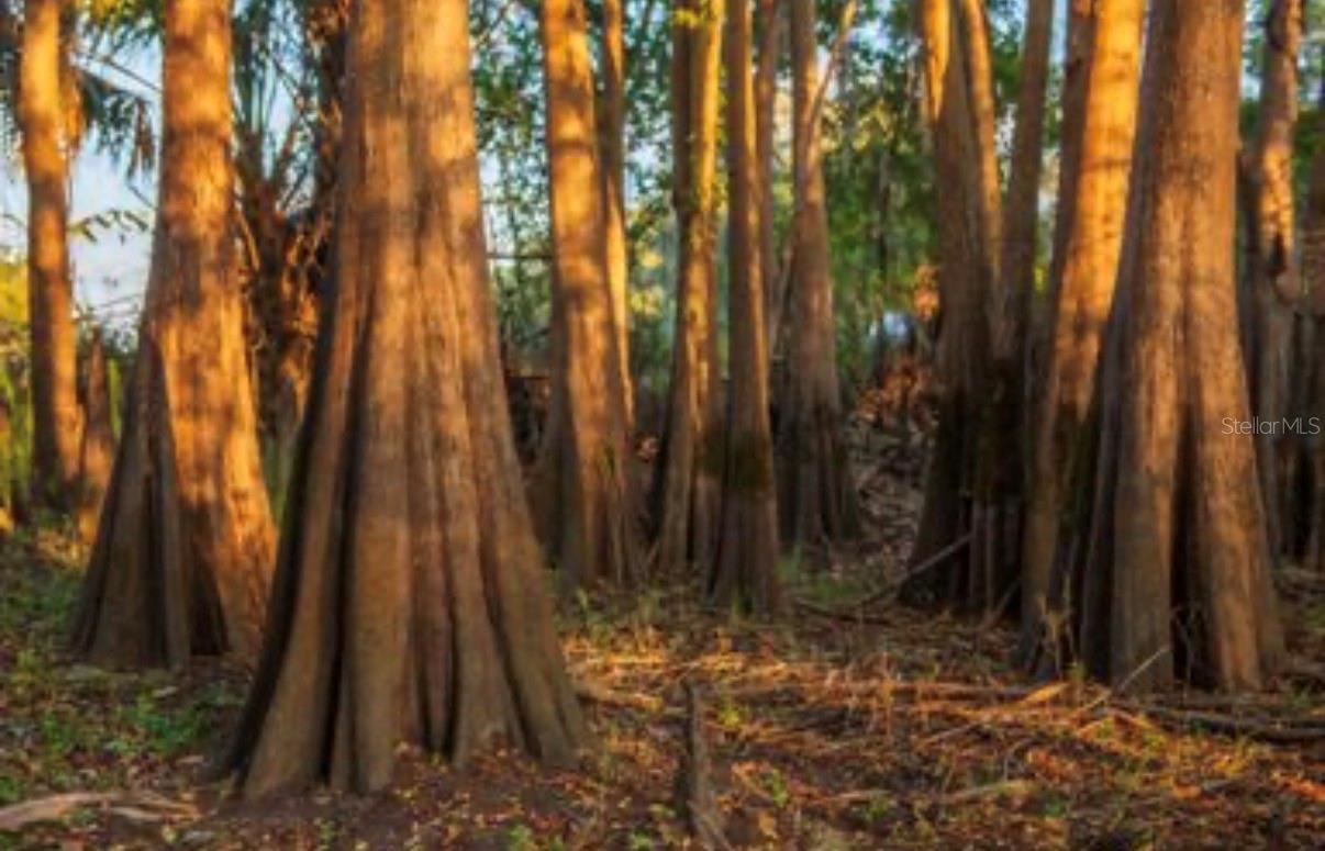 MORQUS MANOR SUB - Land