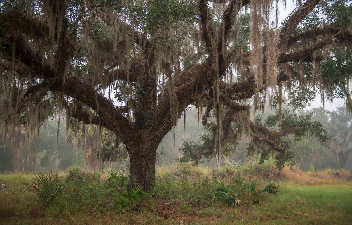 MORQUS MANOR SUB - Land