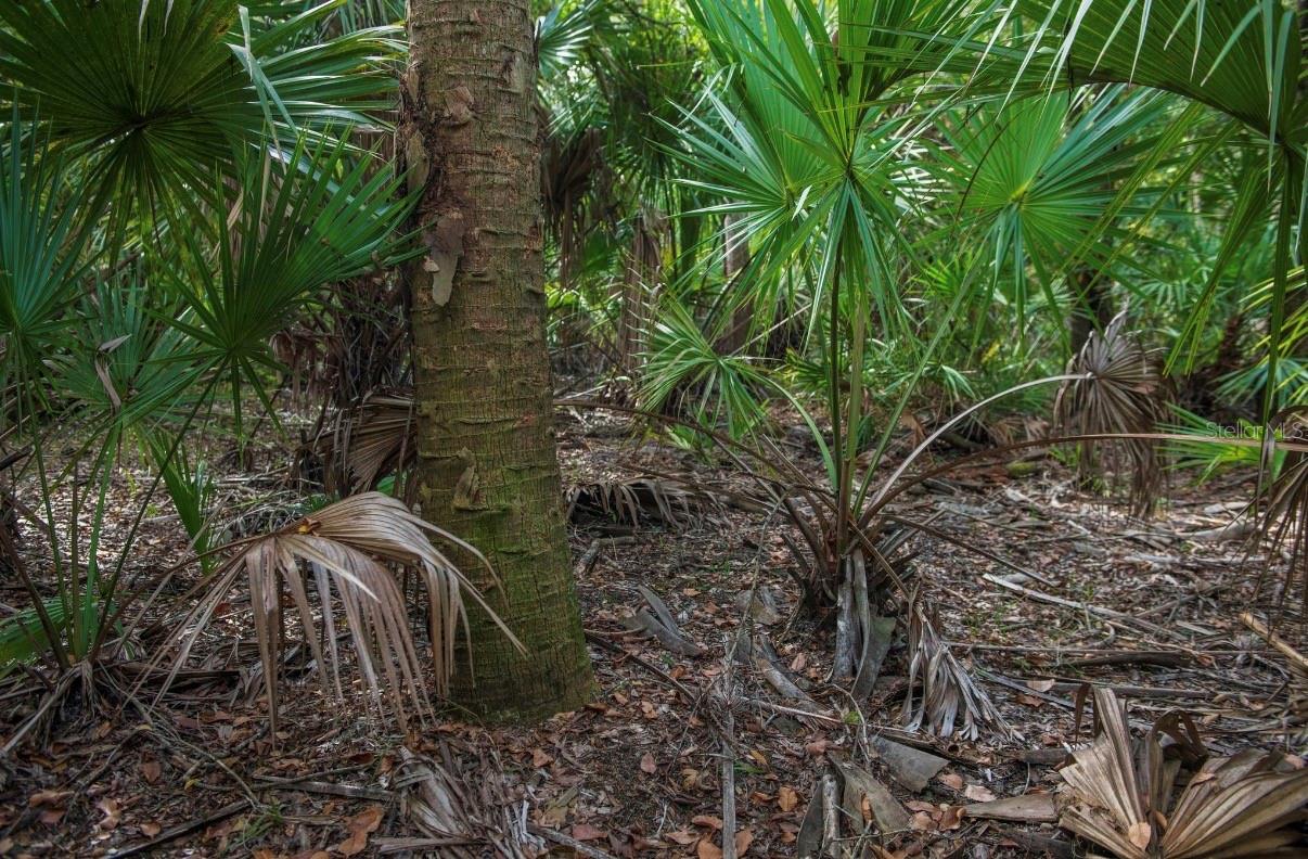 MORQUS MANOR SUB - Land