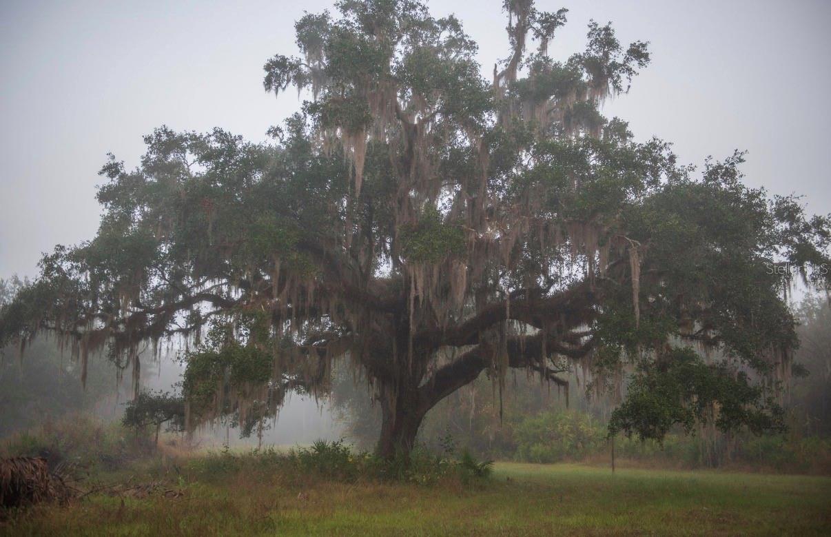 MORQUS MANOR SUB - Land