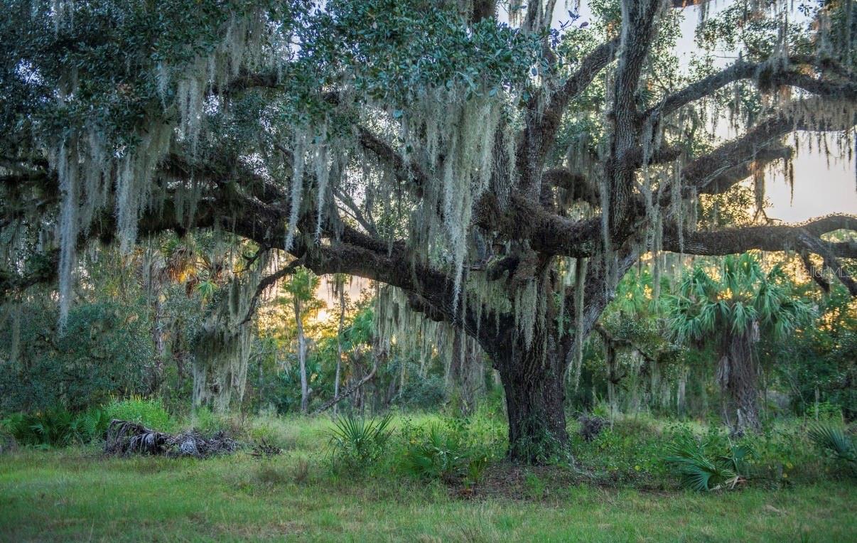 MORQUS MANOR SUB - Land