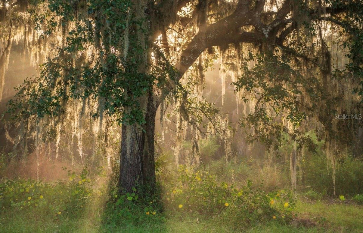 MORQUS MANOR SUB - Land