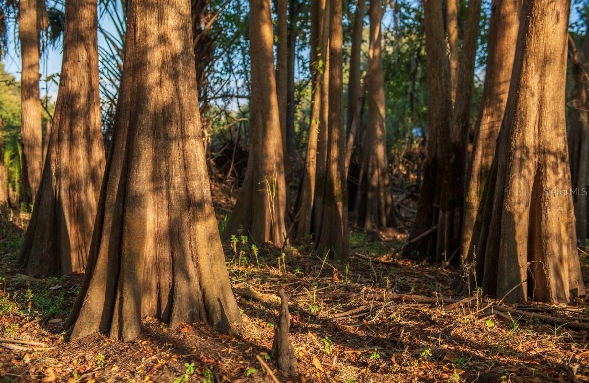 MORQUS MANOR SUB - Land