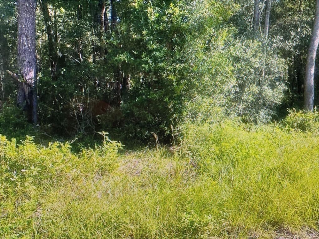 Photo of Tbd St Benedict Drive Lot 113 Drive, Dunnellon, FL 34432 (MLS # OM708625)