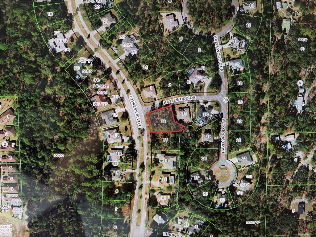Photo of 1 Hazelwood Drive, Homosassa, FL 34446 (MLS # OM726362)
