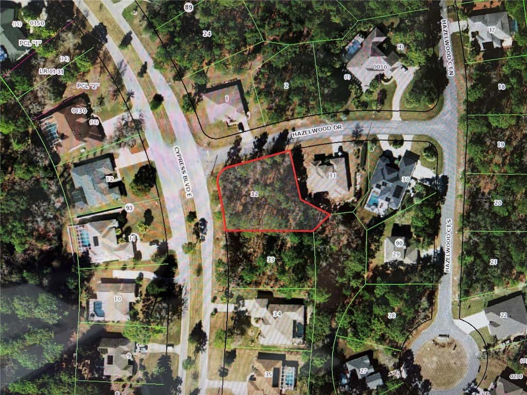 Photo of 1 Hazelwood Drive, Homosassa, FL 34446 (MLS # OM726362)