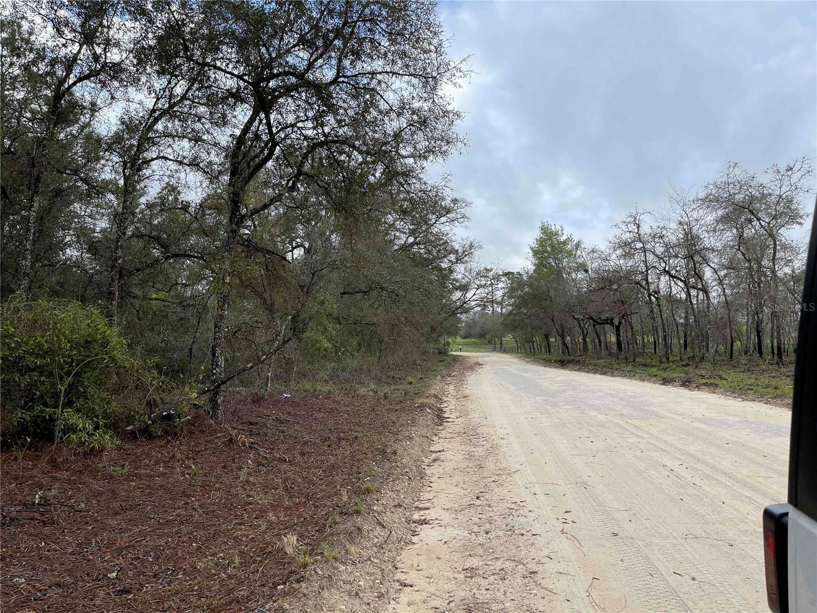 WILLISTON HLNDS - Land