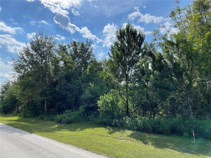 Here is a great opportunity to own a decent size parcel with City water & City sewer available. The property is located on a paved street that dead ends and is adjacent to the Umatilla Airport. The property is within a short distance to the Umatilla schools, restaurants and the North Lake County Park. Just one hour from the attractions, the East Coast beaches, and Orlando International Airport. Property is scheduled to be cleared the week of September 18, 2023.