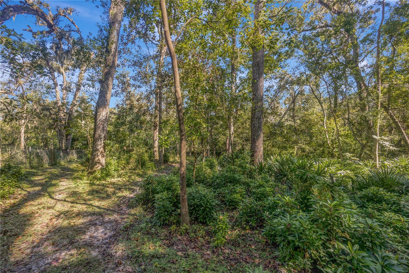 ROSANNA MAUCH ESTATES - Residential