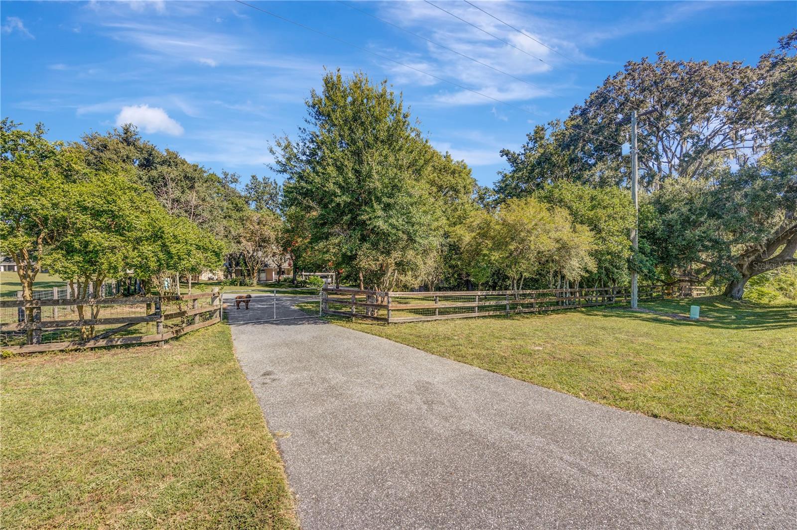 ROSANNA MAUCH ESTATES - Residential