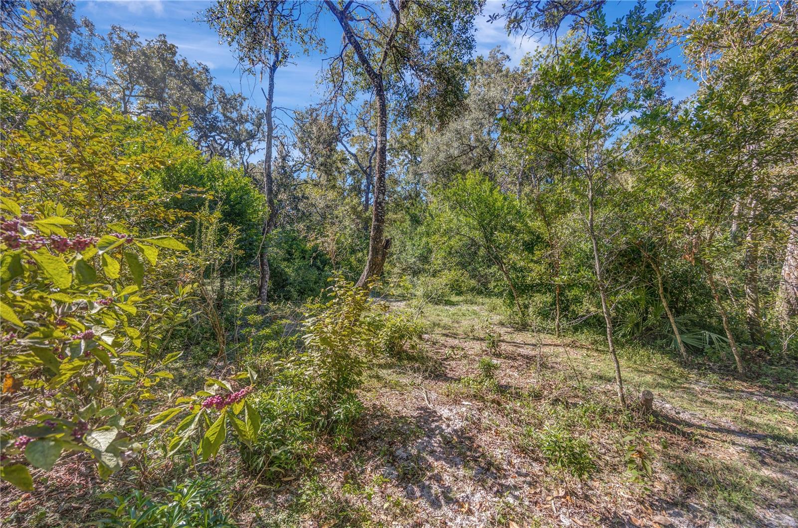 ROSANNA MAUCH ESTATES - Residential