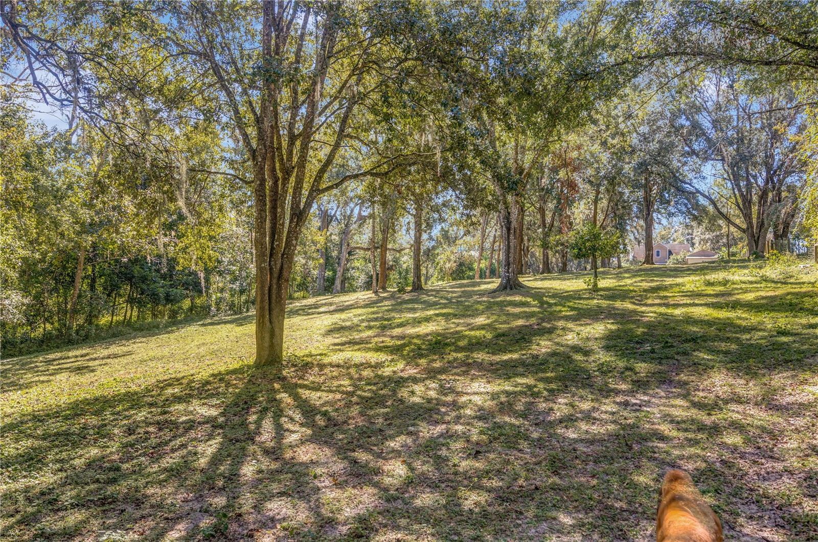 ROSANNA MAUCH ESTATES - Residential