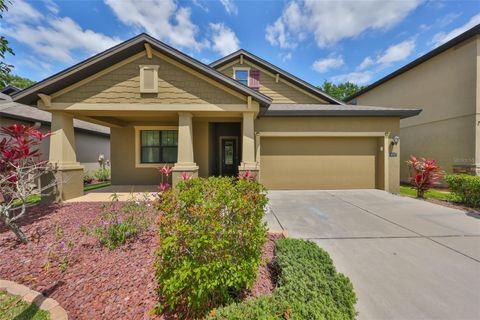 838 VINO VERDE CIRCLE BRANDON FL 33511